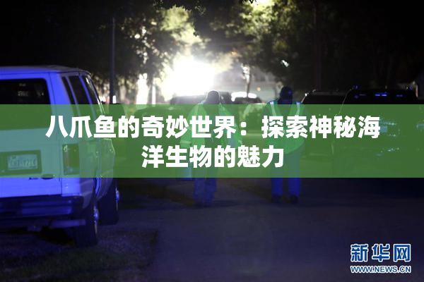 八爪鱼的奇妙世界：探索神秘海洋生物的魅力