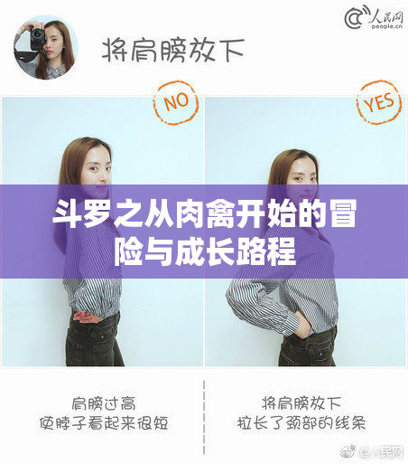 斗罗之从肉禽开始的冒险与成长路程