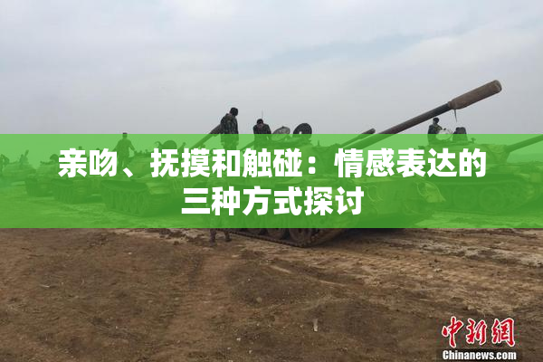 亲吻、抚摸和触碰：情感表达的三种方式探讨