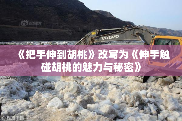 《把手伸到胡桃》改写为《伸手触碰胡桃的魅力与秘密》