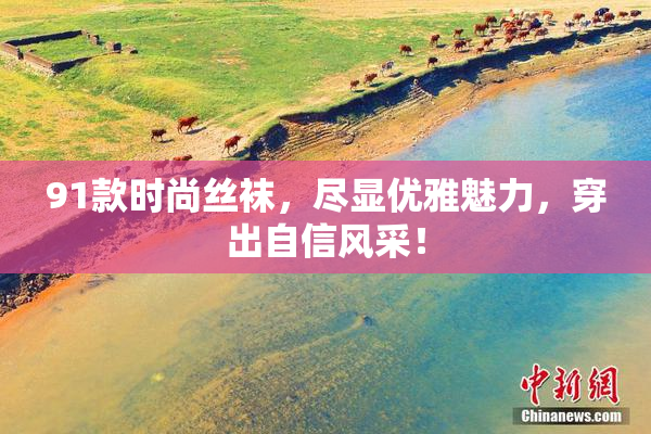 91款时尚丝袜，尽显优雅魅力，穿出自信风采！