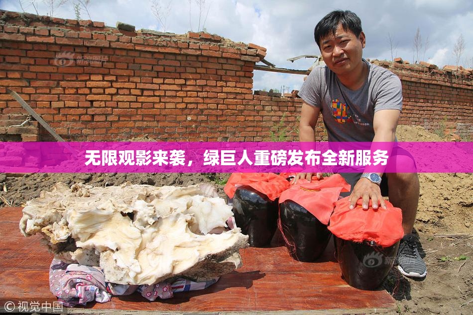无限观影来袭，绿巨人重磅发布全新服务