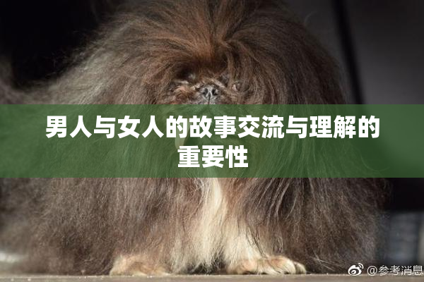 男人与女人的故事交流与理解的重要性
