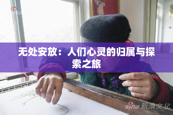 无处安放：人们心灵的归属与探索之旅
