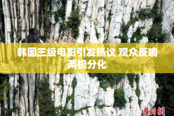 韩国三级电影引发热议 观众反响两极分化