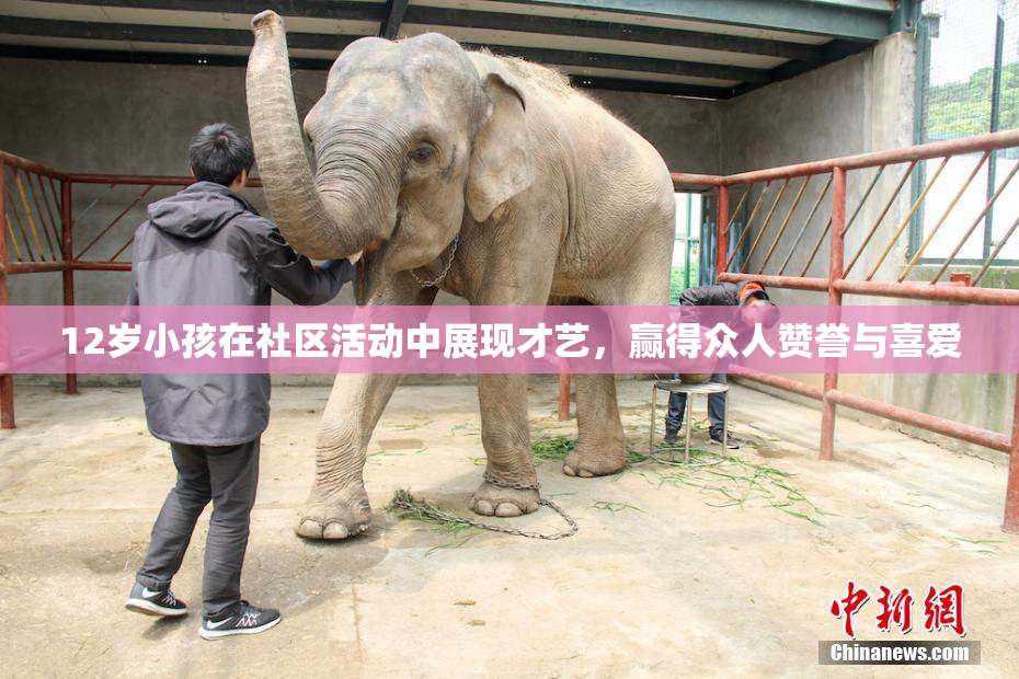12岁小孩在社区活动中展现才艺，赢得众人赞誉与喜爱