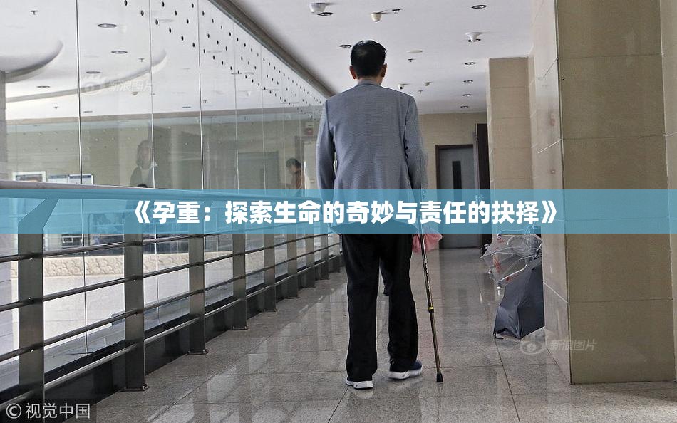 《孕重：探索生命的奇妙与责任的抉择》