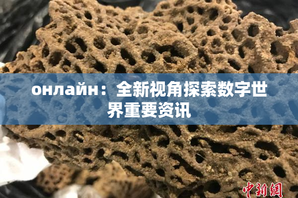 онлайн：全新视角探索数字世界重要资讯