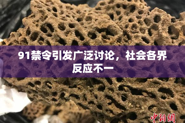 91禁令引发广泛讨论，社会各界反应不一