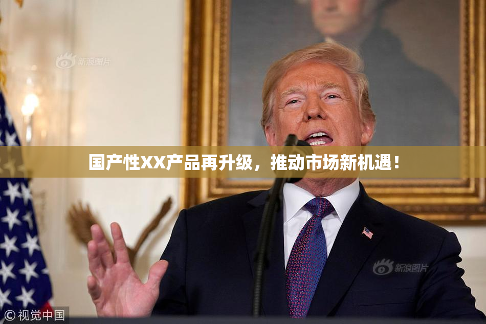 国产性XX产品再升级，推动市场新机遇！