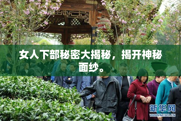 女人下部秘密大揭秘，揭开神秘面纱。