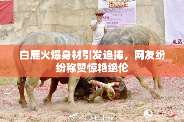 白鹿火爆身材引发追捧，网友纷纷称赞惊艳绝伦