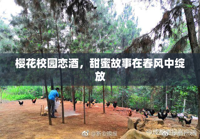 樱花校园恋酒，甜蜜故事在春风中绽放