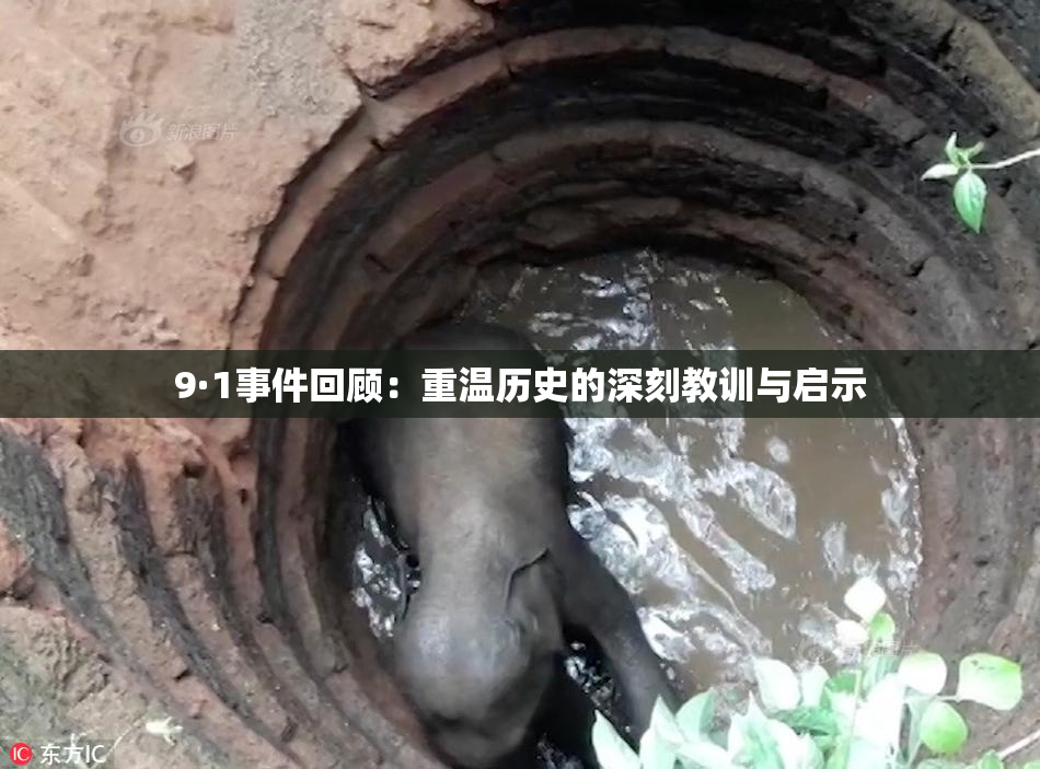 9·1事件回顾：重温历史的深刻教训与启示