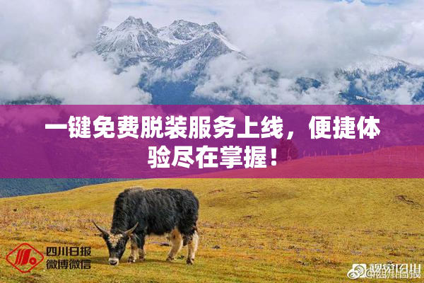 一键免费脱装服务上线，便捷体验尽在掌握！