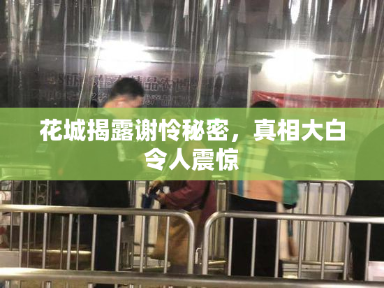 花城揭露谢怜秘密，真相大白令人震惊