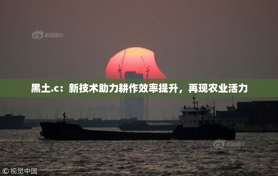 黑土.c：新技术助力耕作效率提升，再现农业活力