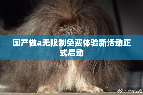 国产做a无限制免费体验新活动正式启动