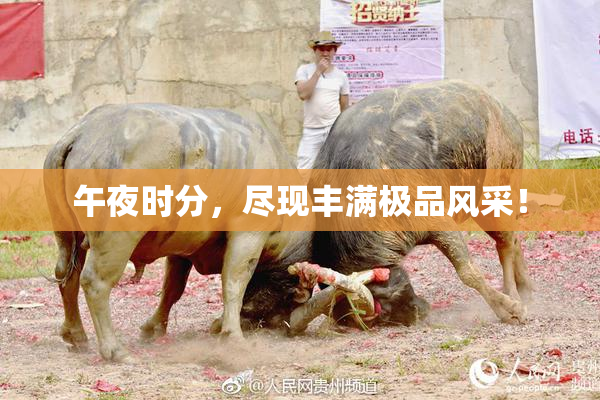 午夜时分，尽现丰满极品风采！