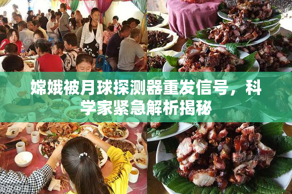 嫦娥被月球探测器重发信号，科学家紧急解析揭秘