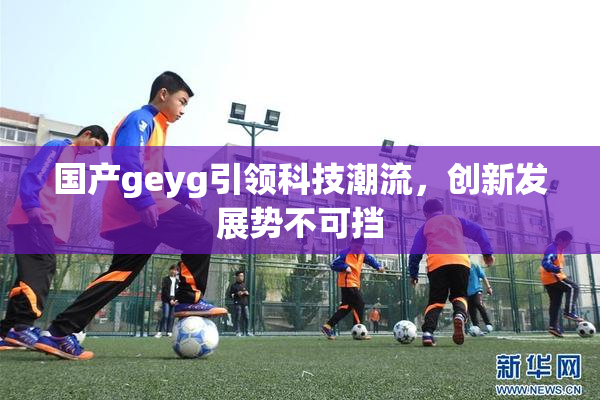 国产geyg引领科技潮流，创新发展势不可挡