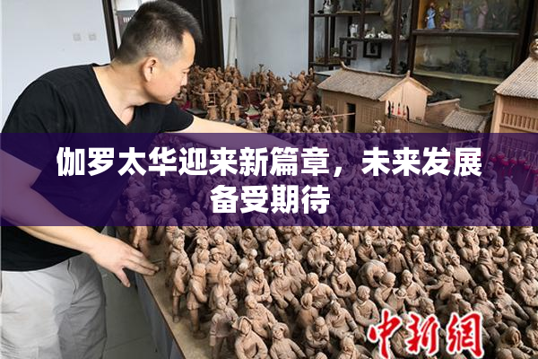 伽罗太华迎来新篇章，未来发展备受期待