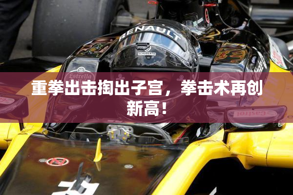 重拳出击掏出子宫，拳击术再创新高！
