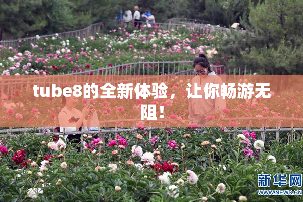 tube8的全新体验，让你畅游无阻！
