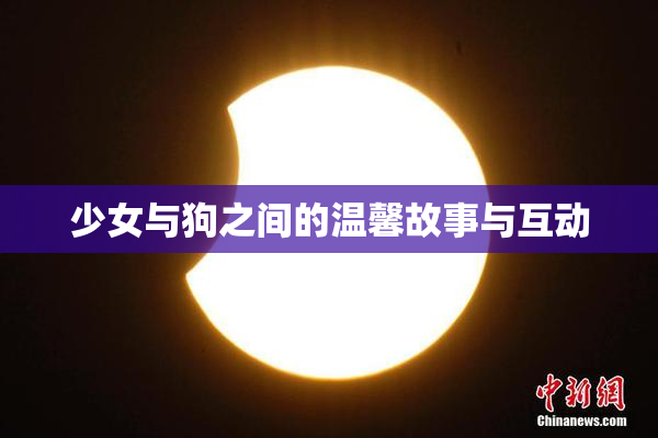 少女与狗之间的温馨故事与互动