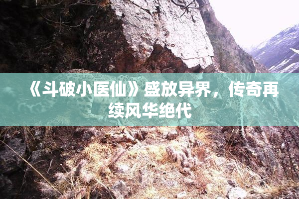 《斗破小医仙》盛放异界，传奇再续风华绝代