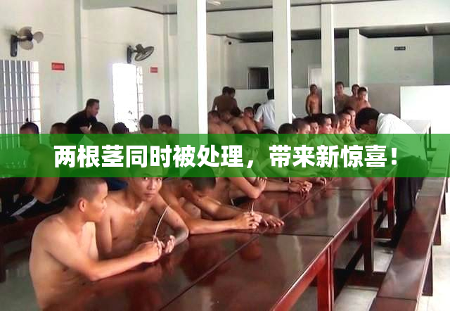 两根茎同时被处理，带来新惊喜！