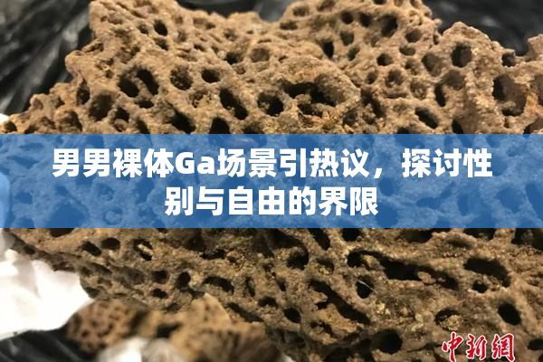 男男裸体Ga场景引热议，探讨性别与自由的界限