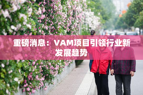 重磅消息：VAM项目引领行业新发展趋势