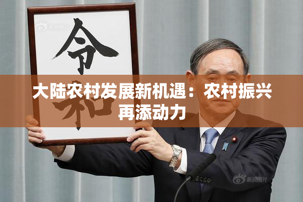 大陆农村发展新机遇：农村振兴再添动力