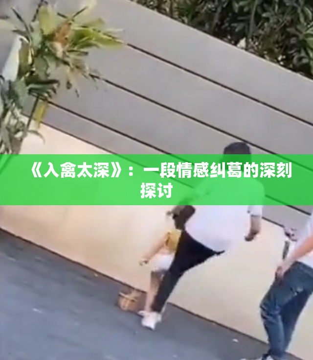 《入禽太深》：一段情感纠葛的深刻探讨