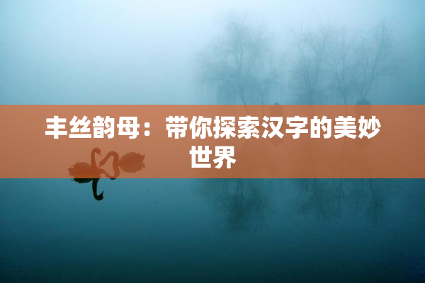 丰丝韵母：带你探索汉字的美妙世界