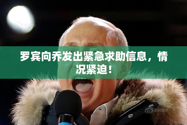 罗宾向乔发出紧急求助信息，情况紧迫！