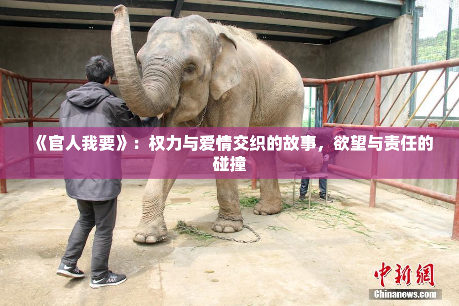 《官人我要》：权力与爱情交织的故事，欲望与责任的碰撞