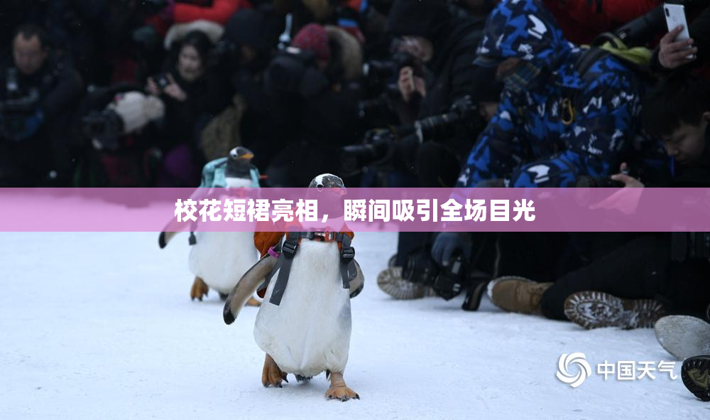 校花短裙亮相，瞬间吸引全场目光