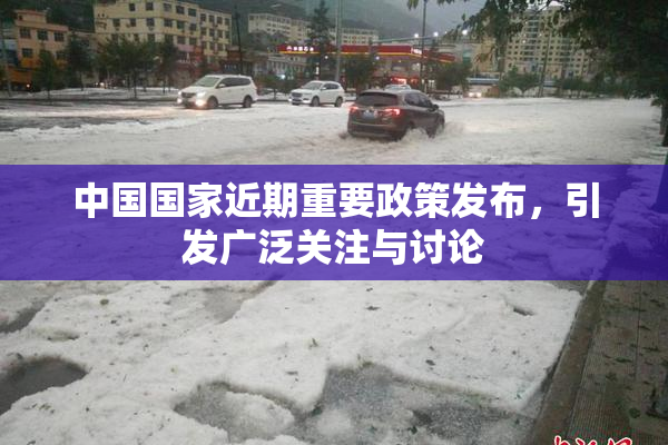 中国国家近期重要政策发布，引发广泛关注与讨论