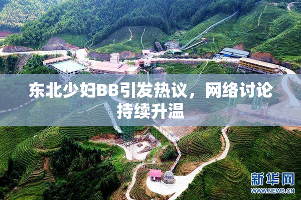 东北少妇BB引发热议，网络讨论持续升温