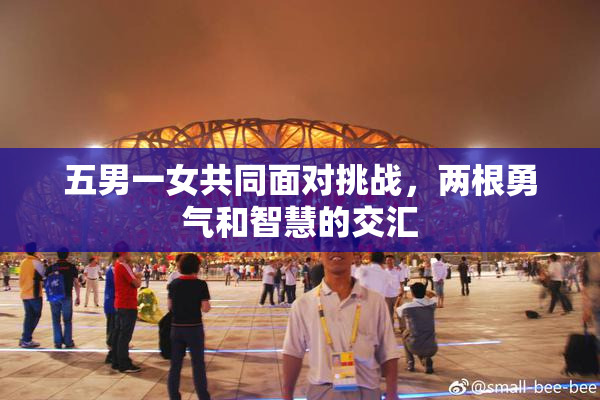 五男一女共同面对挑战，两根勇气和智慧的交汇