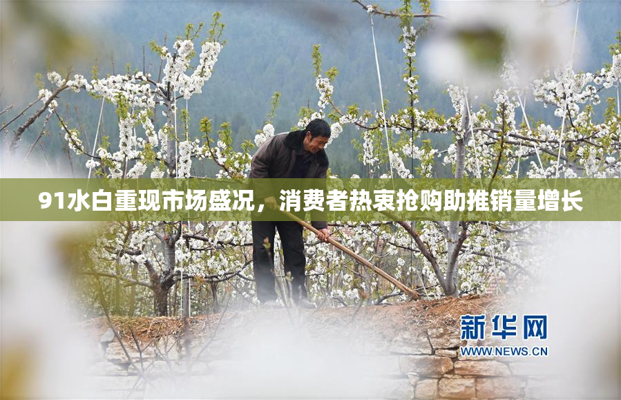 91水白重现市场盛况，消费者热衷抢购助推销量增长