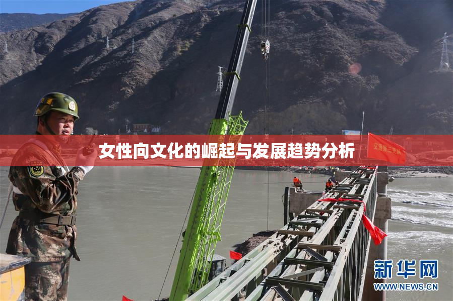 女性向文化的崛起与发展趋势分析