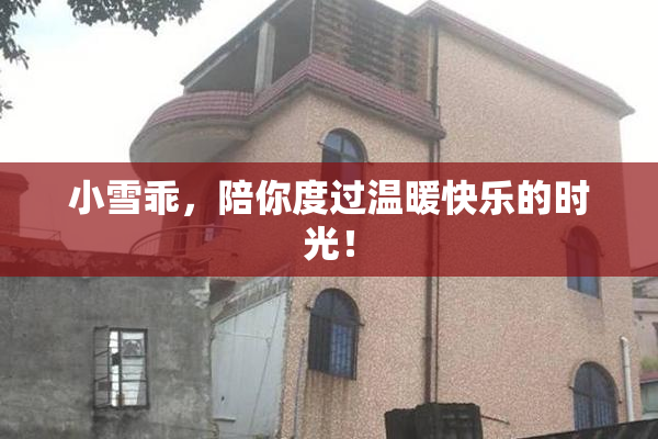 小雪乖，陪你度过温暖快乐的时光！