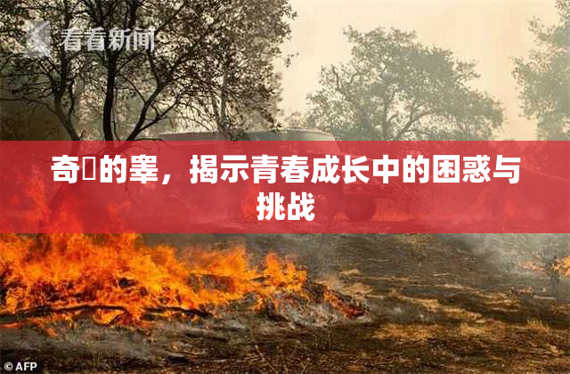 奇犽的睾，揭示青春成长中的困惑与挑战