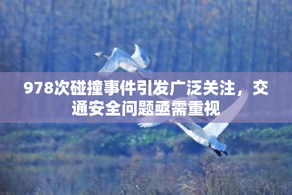 978次碰撞事件引发广泛关注，交通安全问题亟需重视