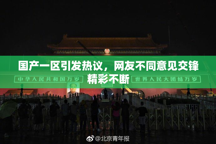 国产一区引发热议，网友不同意见交锋精彩不断