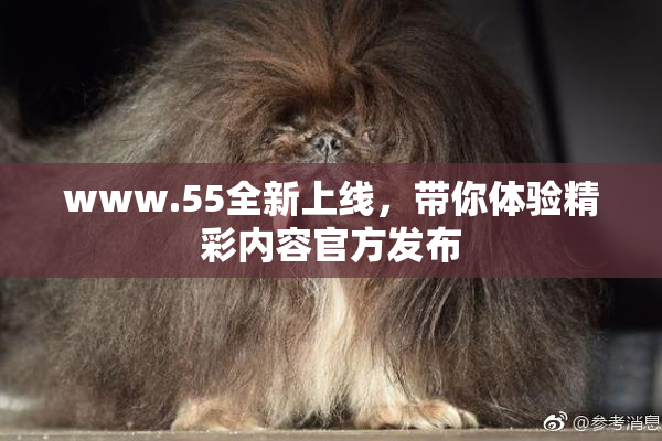 www.55全新上线，带你体验精彩内容官方发布
