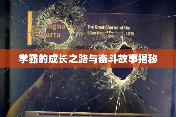 学霸的成长之路与奋斗故事揭秘